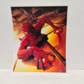 Tobey Maguire  - Spiderman - Signed 8x10 photo
