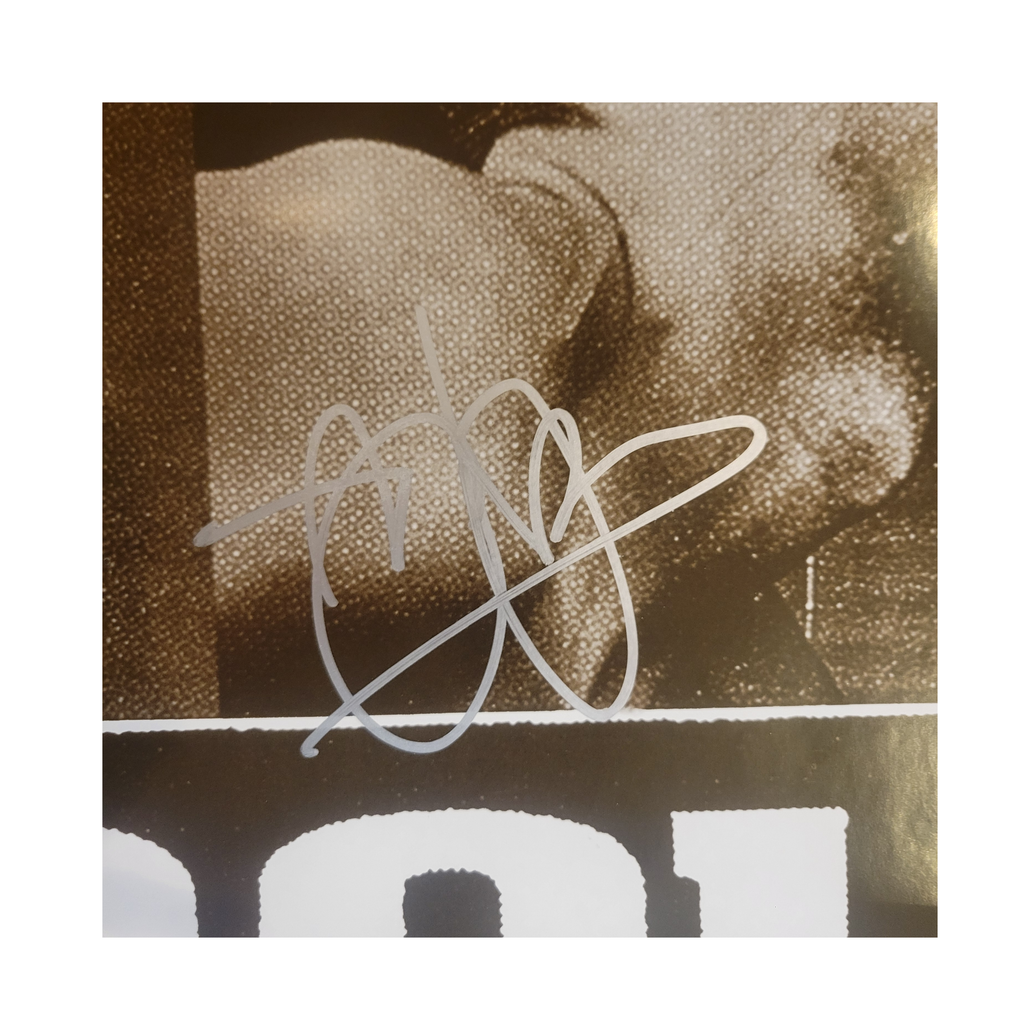 Tool - Pins & Needles - signed poster by 4 band members